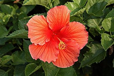 悬疑叙事解谜游戏《孙美琪疑案》2024试玩版现已登陆Steam新品节